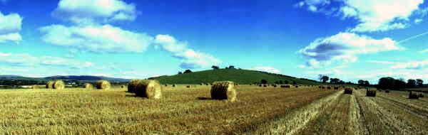 Harvest time, near Allander Toll in Dunbartonshire. Lands with links to Clan Graham & Clan Lennox.
